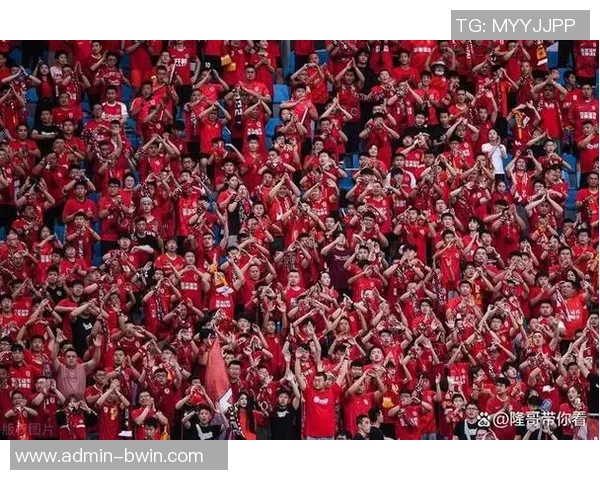 热情助威韩国足球队展现团结精神与激情时刻